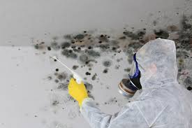 Forensic Mold Investigation in Rocklin, CA